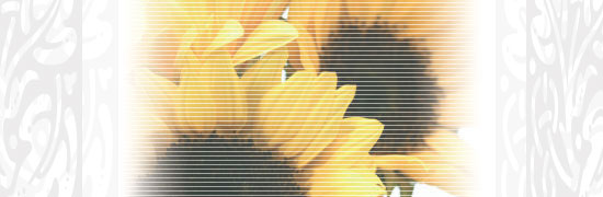topimage